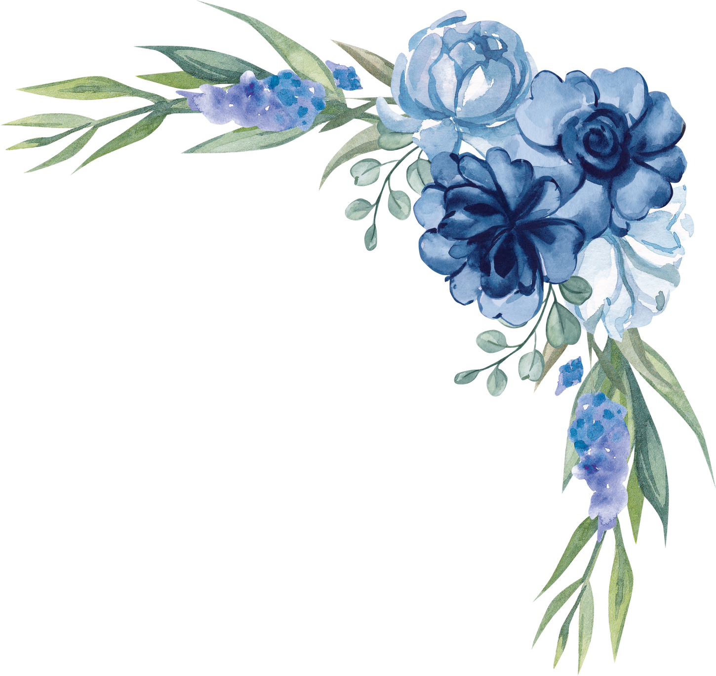 Flower Blue Roses Wedding Bouquet Corner Border Peonies